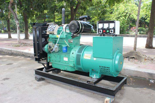 彬村山华侨农场发电机不发电的原因