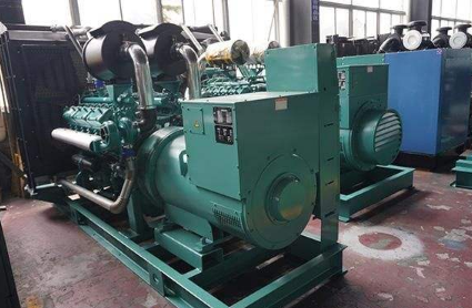 彬村山华侨农场柴油发电机